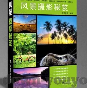 成人爱视频-成人爱视频，数字时代下的文化现象与心理探索