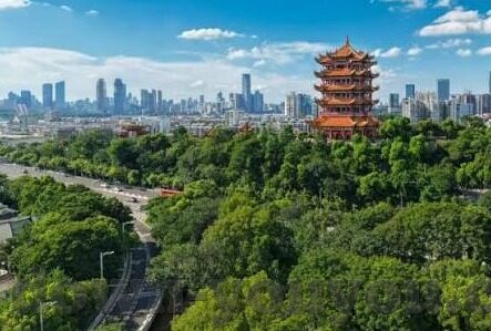 糖心app引导网站大全-体验糖心App的奇妙之旅，从引导网站起航的数字乐园